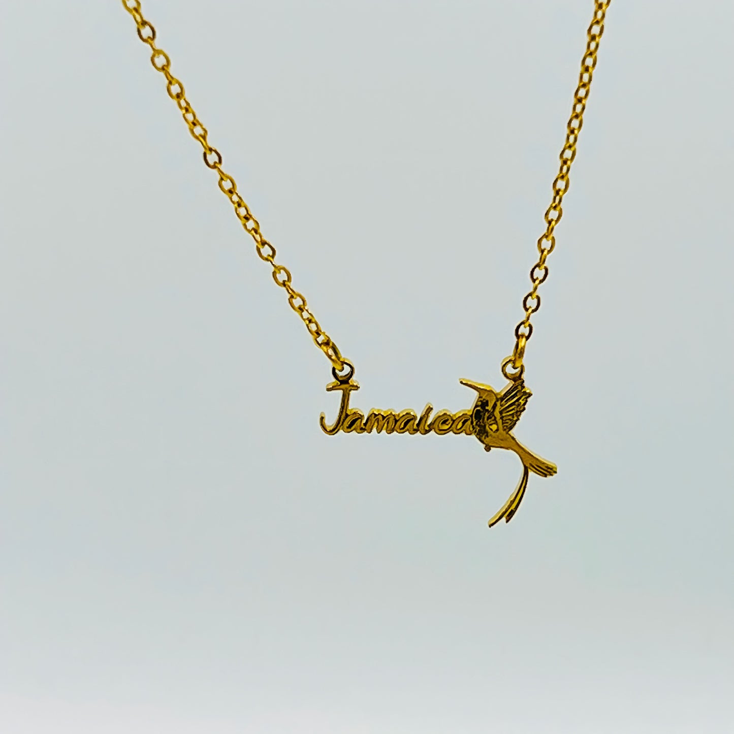 Jamaica Hummingbird Dainty Necklace