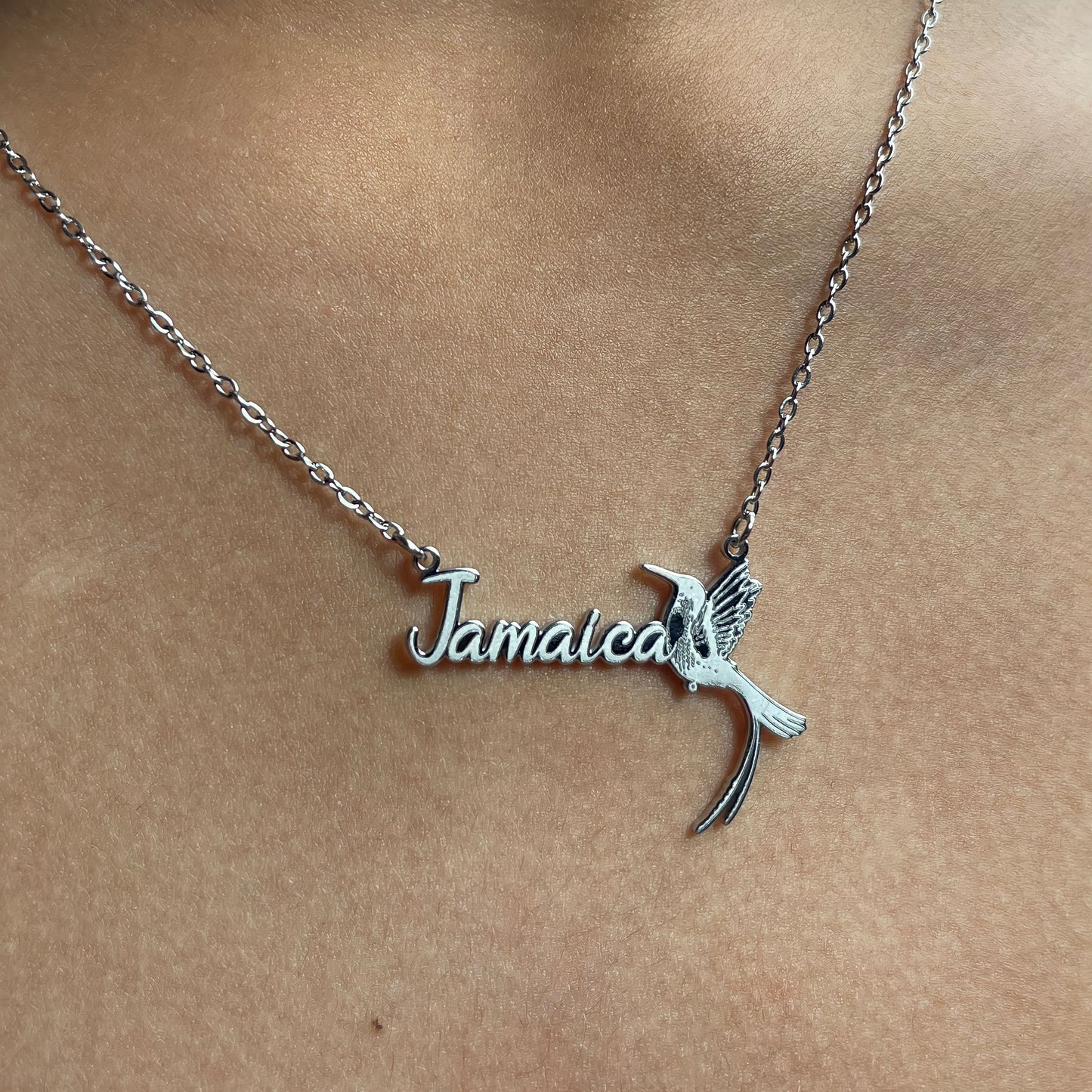 Jamaica Hummingbird Dainty Necklace